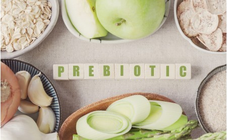 Пребиотические компоненты пищи – пищевые волокна и их влияние на микробиом человека