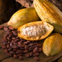 Купить Какао-бобы цельные, обжаренные, Танзания, 50 г