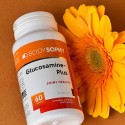 Купить Глюкозамин-Плас, 1200 мг, 60 таблеток
