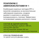 Купить Средство для поддержки кишечного барьера Gut Healer, 60 капсул