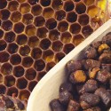 Купить  AMBROSIA перга пчелиная, 60 г