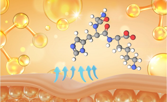 Пептиды в косметологии