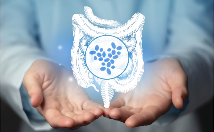 Сахаромицеты Буларди (Saccharomyces boulardii)