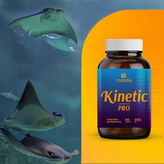 Kinetic Pro, Инкода, 60 капсул