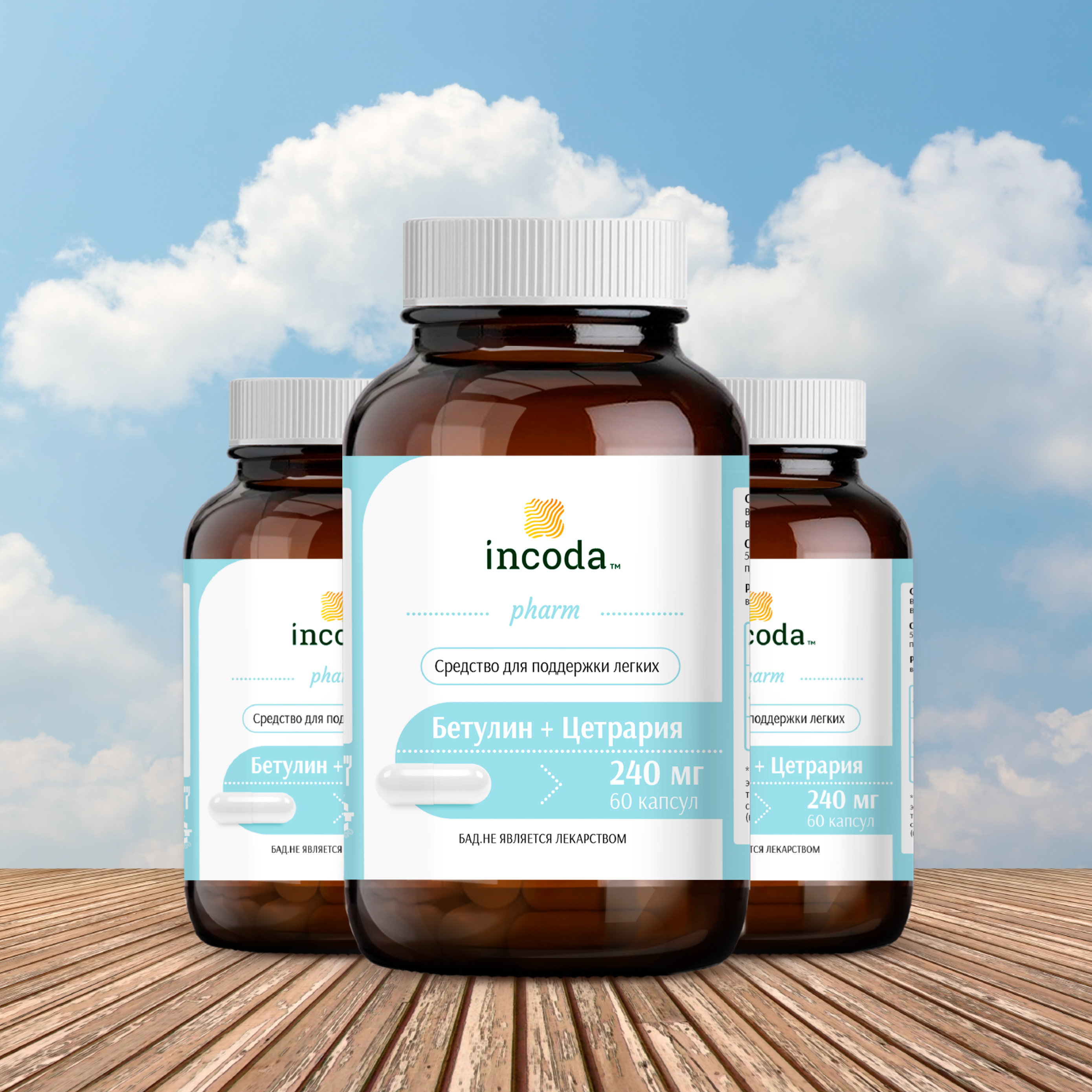 Бетулин + Цетрария, Инкода, 60 капсул
