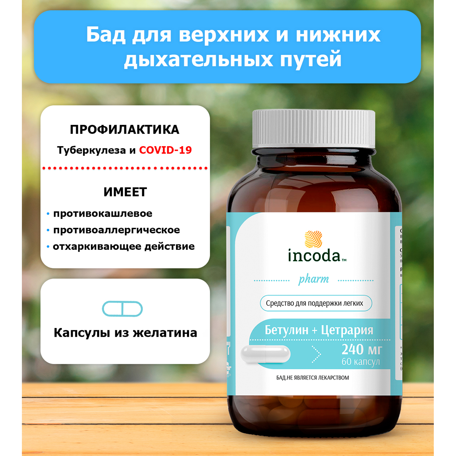 Бетулин + Цетрария, Инкода, 60 капсул