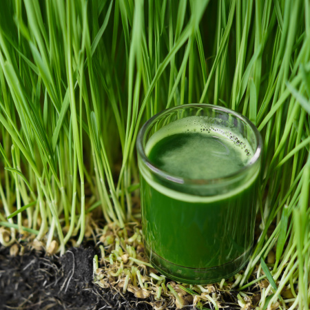 Витграсс (Wheatgrass), сухой сок ростков пшеницы, 450 мг, 60 таб.