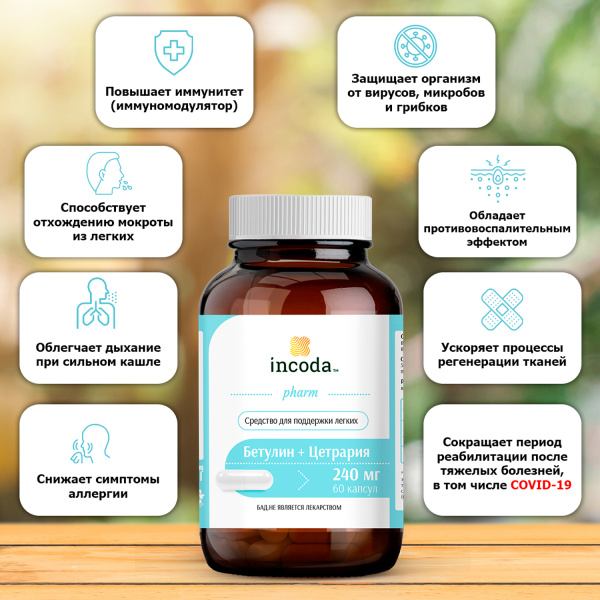 Бетулин + Цетрария, Инкода, 60 капсул