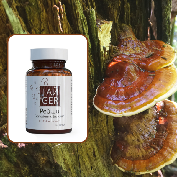 Экстракт рейши ТАЙGER, 60 капсул