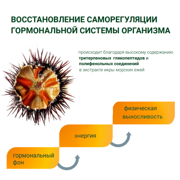 Free Max, Инкода, 60 капсул