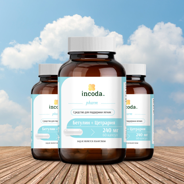 Бетулин + Цетрария, Инкода, 60 капсул