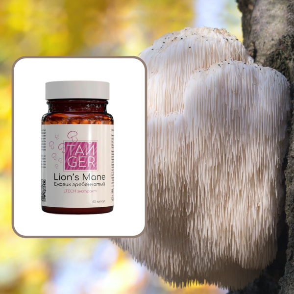 Экстракт ежовика ТАЙGER, 50 капсул