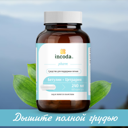 Бетулин + Цетрария, Инкода, 60 капсул