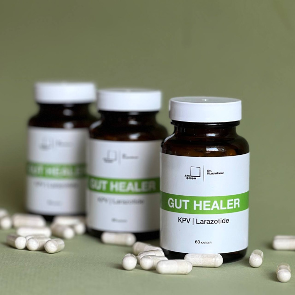 Средство для поддержки кишечного барьера Gut Healer, 60 капсул