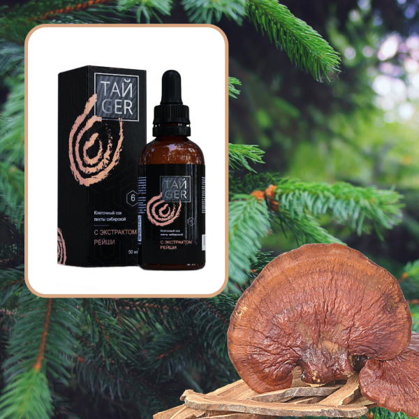 Клеточный сок пихты с экстрактом рейши ТАЙGER, 50 мл