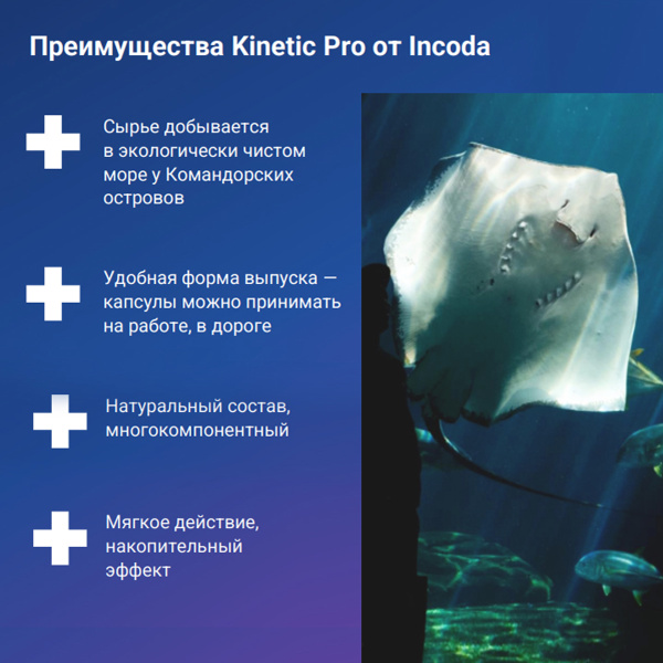 Kinetic Pro, Инкода, 60 капсул